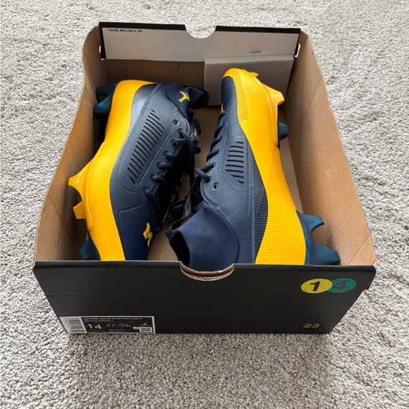Jordan Vapor Edge Pro 2 Michigan Wolverines PE Football Cleats Mens 14 - Picture 1 of 10